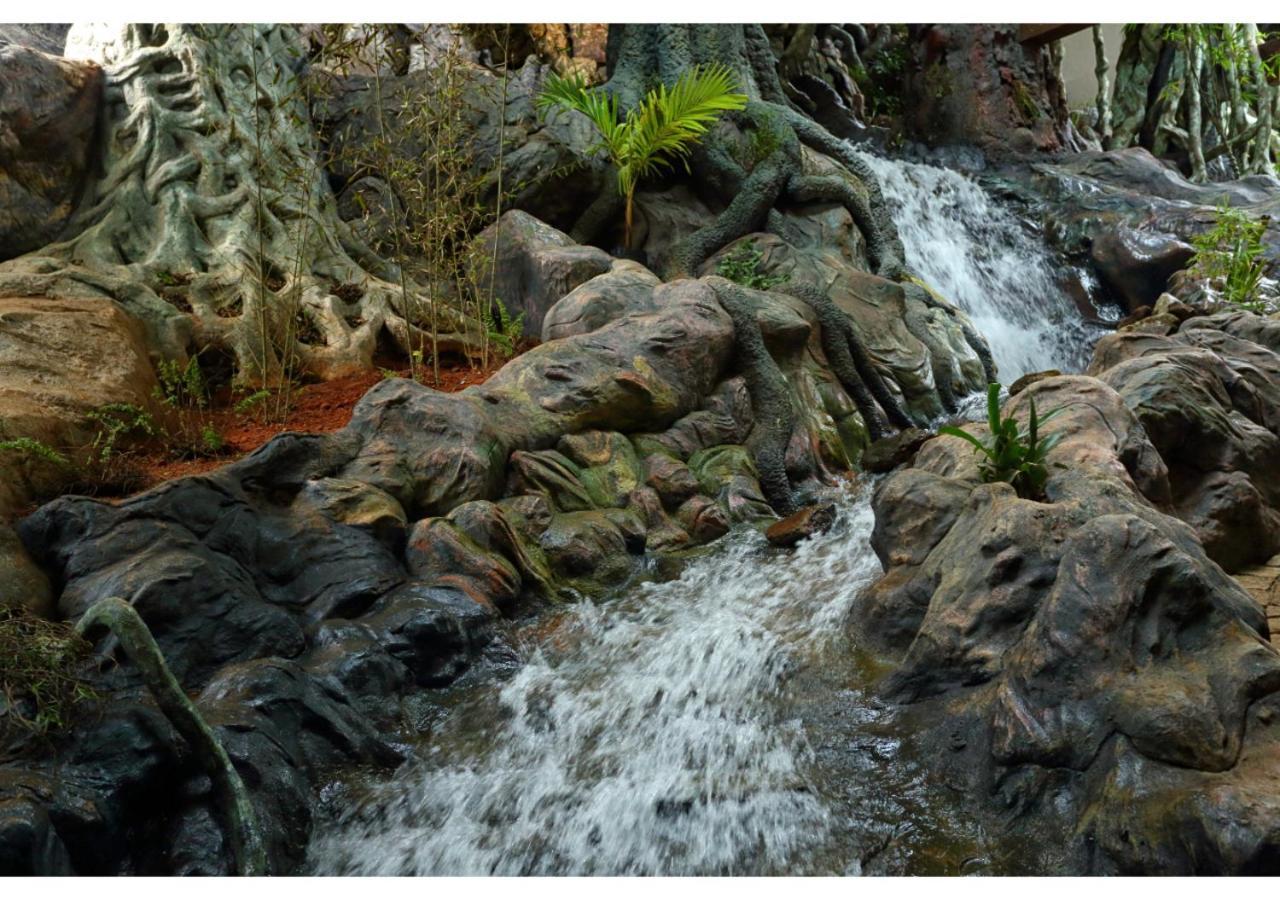 Chandys Windy Woods Munnar Extérieur photo